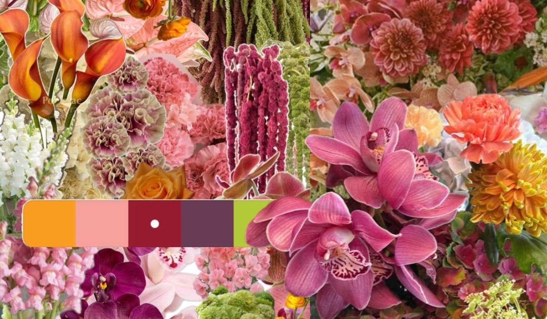 The Wedding Website of Julie Colaianni and Nicholas Bauer