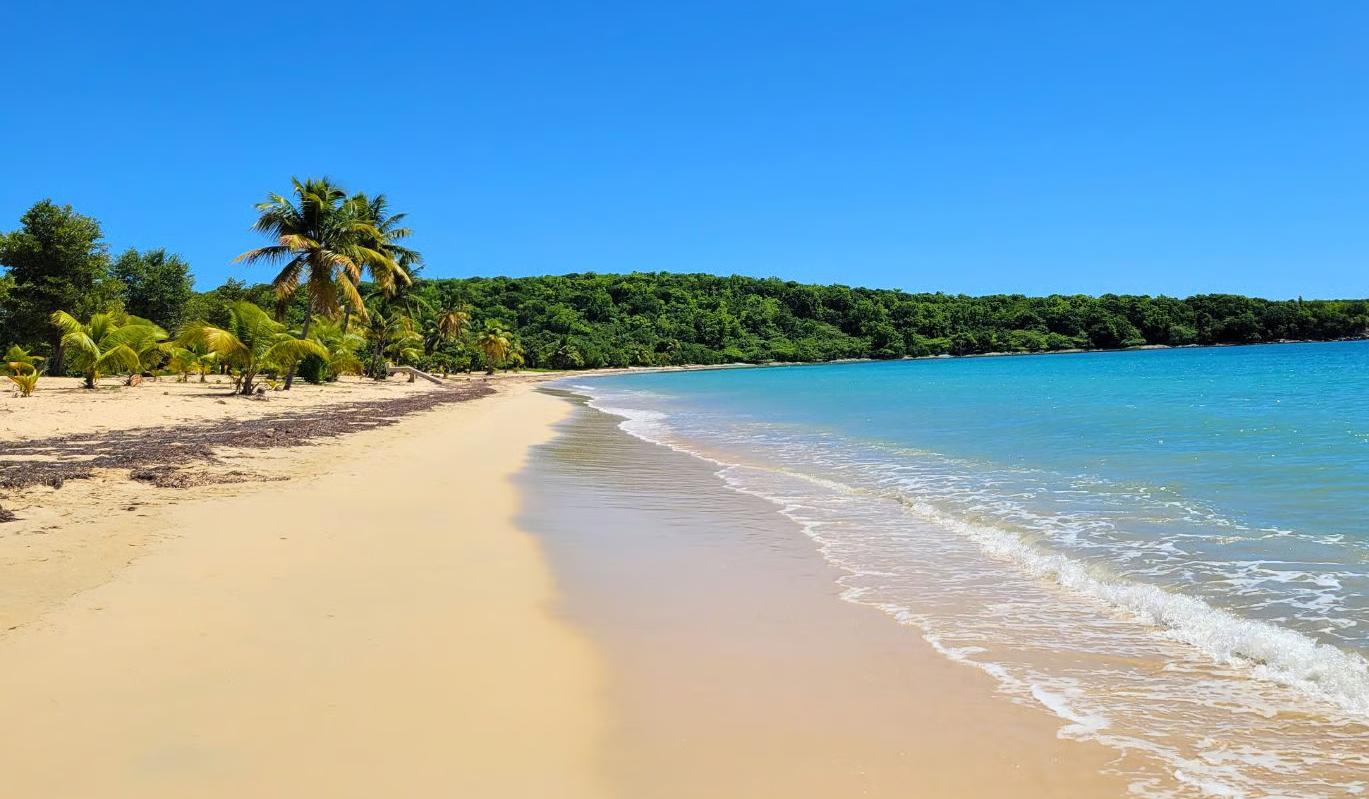 The Wedding Website of Claudia Aliff and Austin Brush