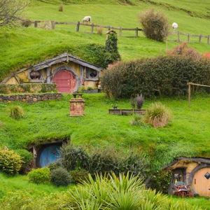 New Zealand Honeymoon