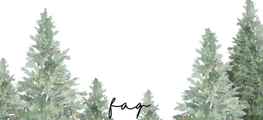 The Wedding Website of Carm Runco and Matt Dann