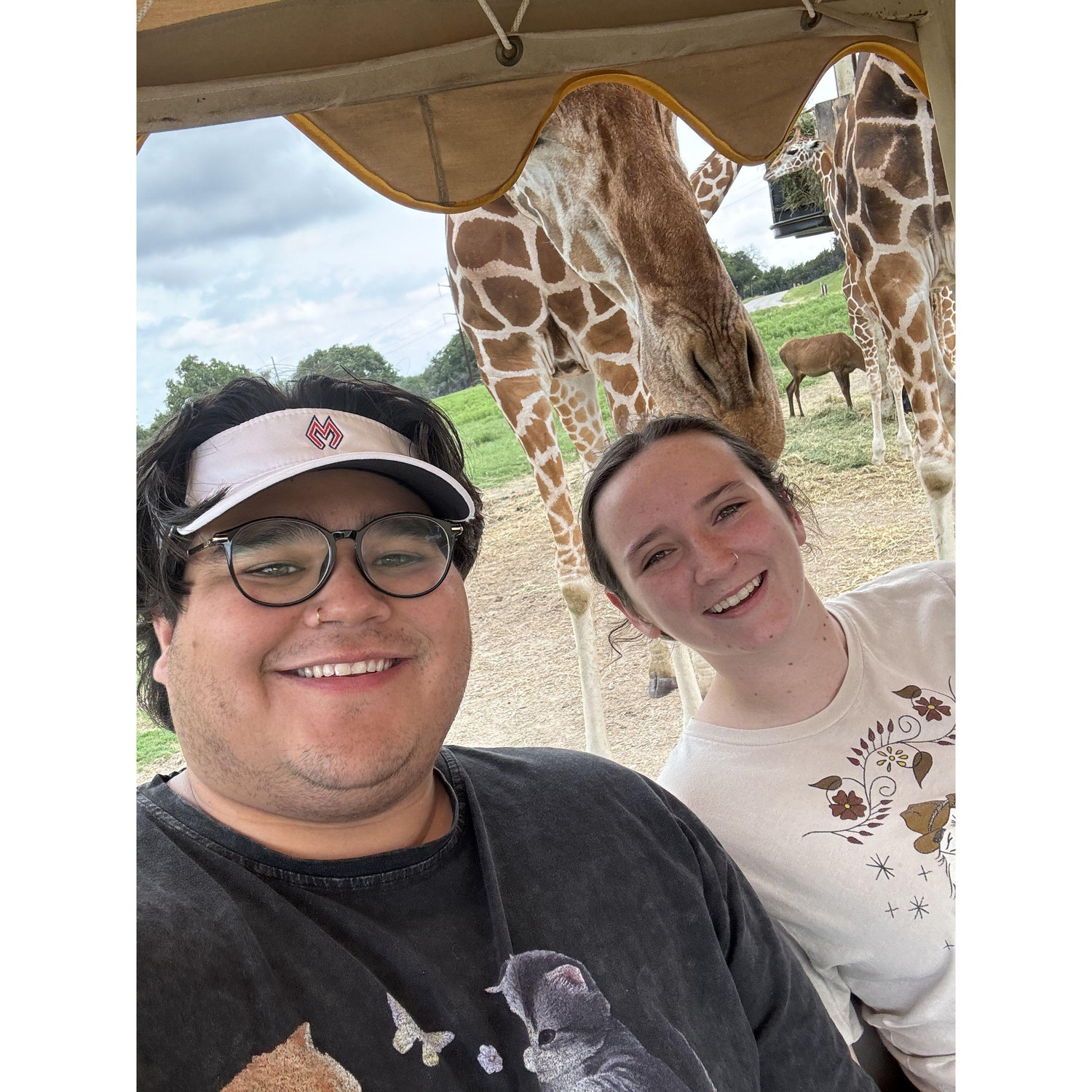 Fossil Rim Guided Safari Tour