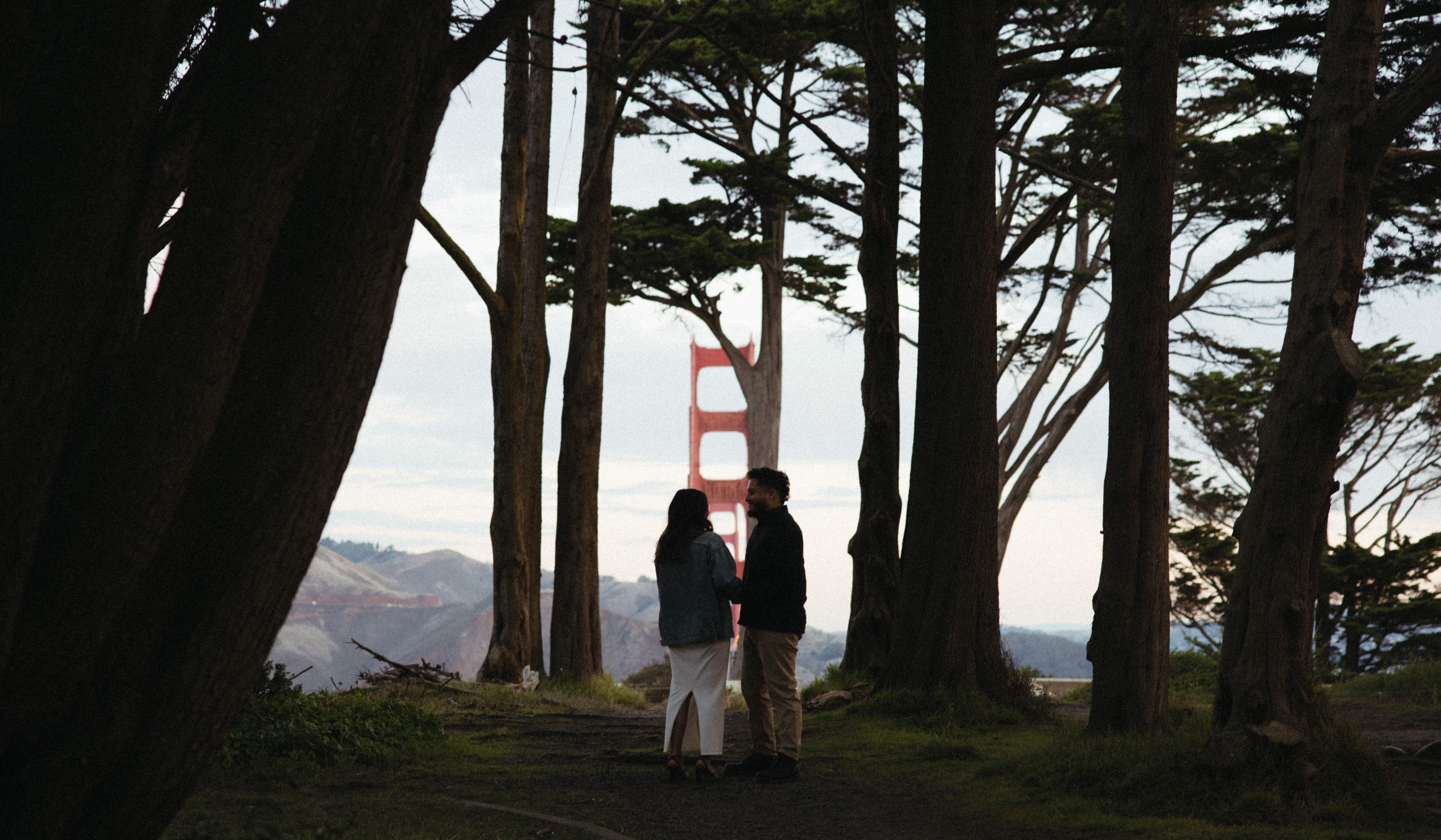 Hero Slideshow Image 4