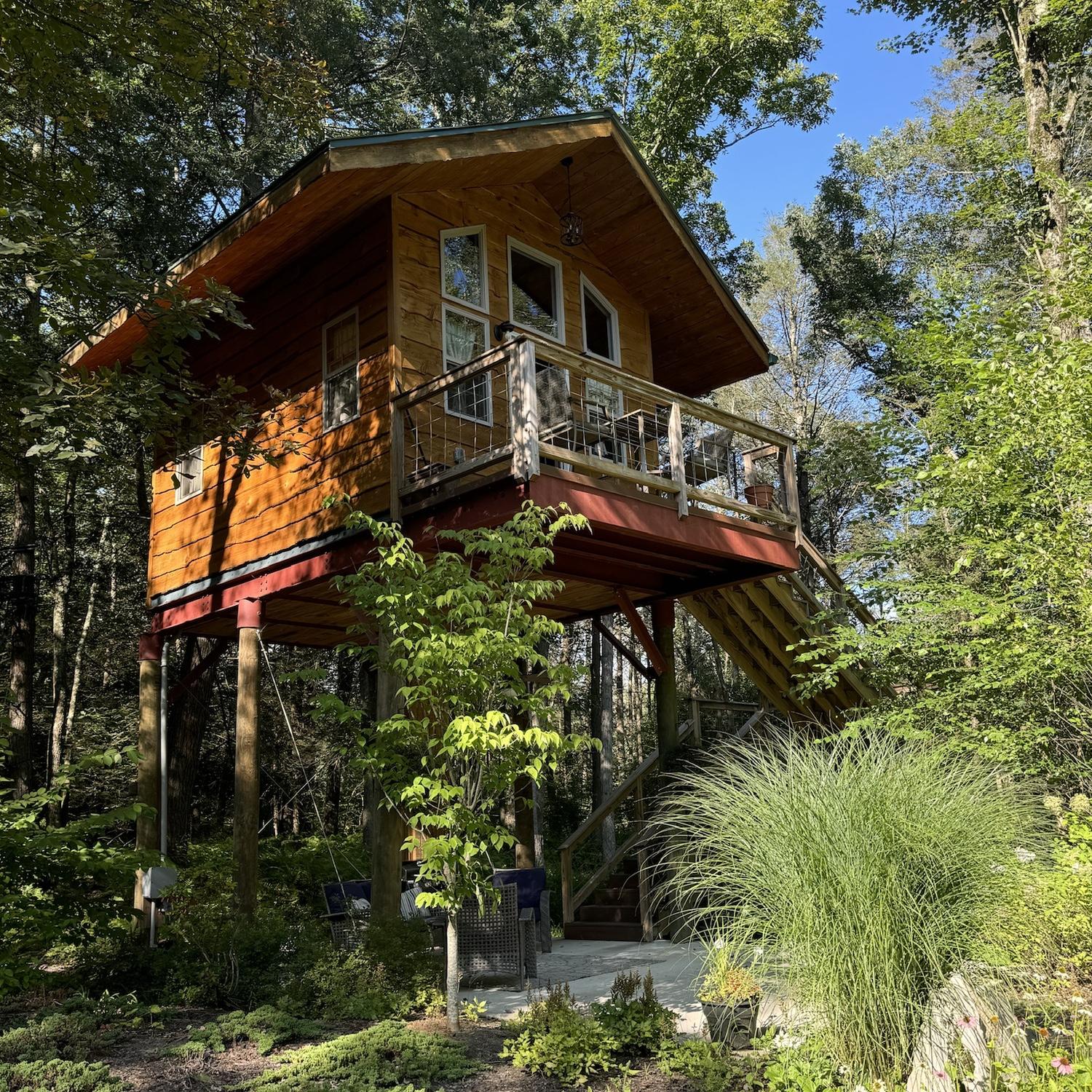 The tree house