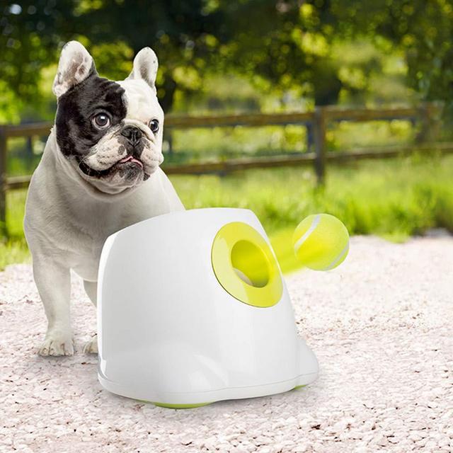 All for Paws Interactive Automatic Ball Launcher for Dogs, Dog Tennis Ball Throwing Machine for Small, Medium Large Size, 3 Balls Included