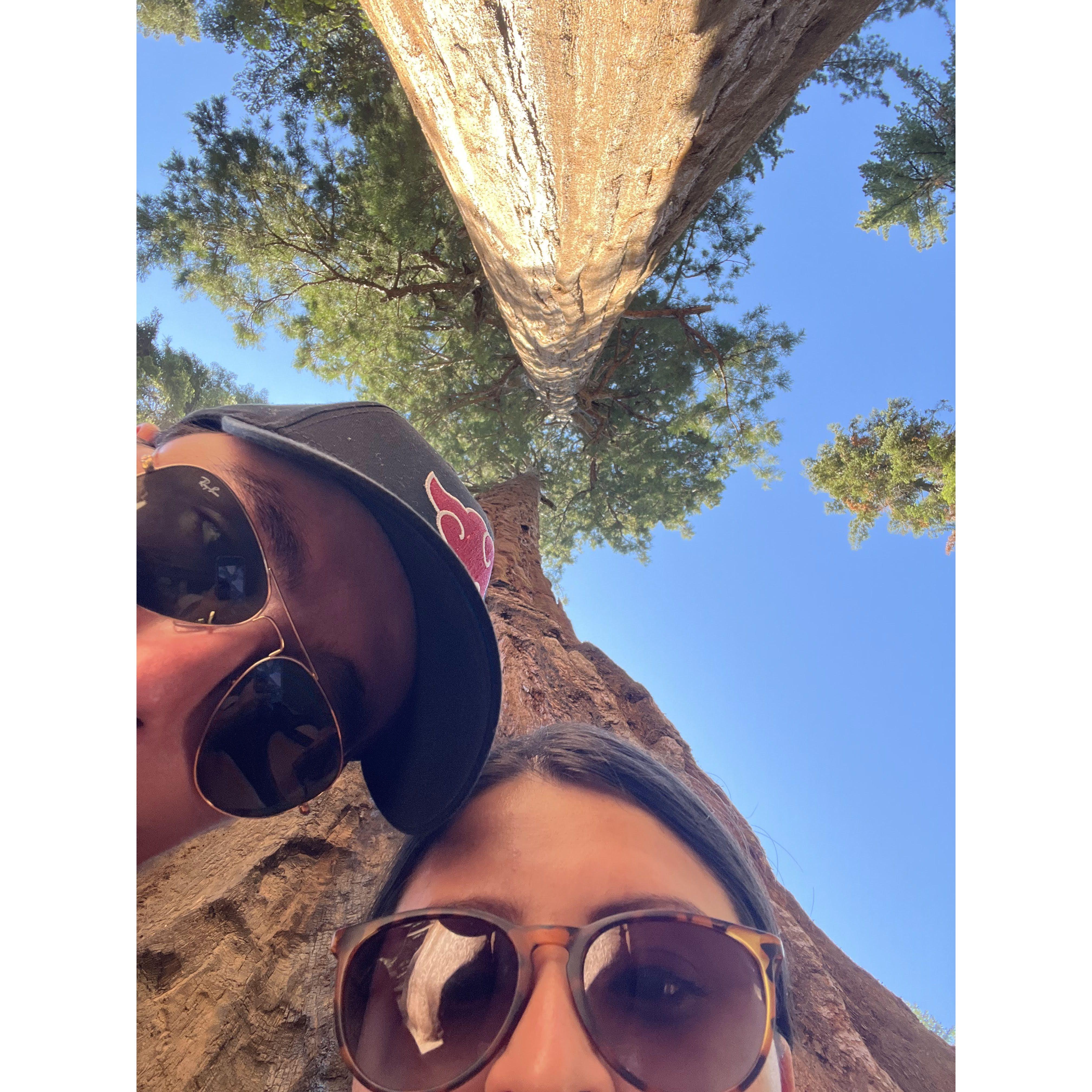 Exploring Sequoia National Park