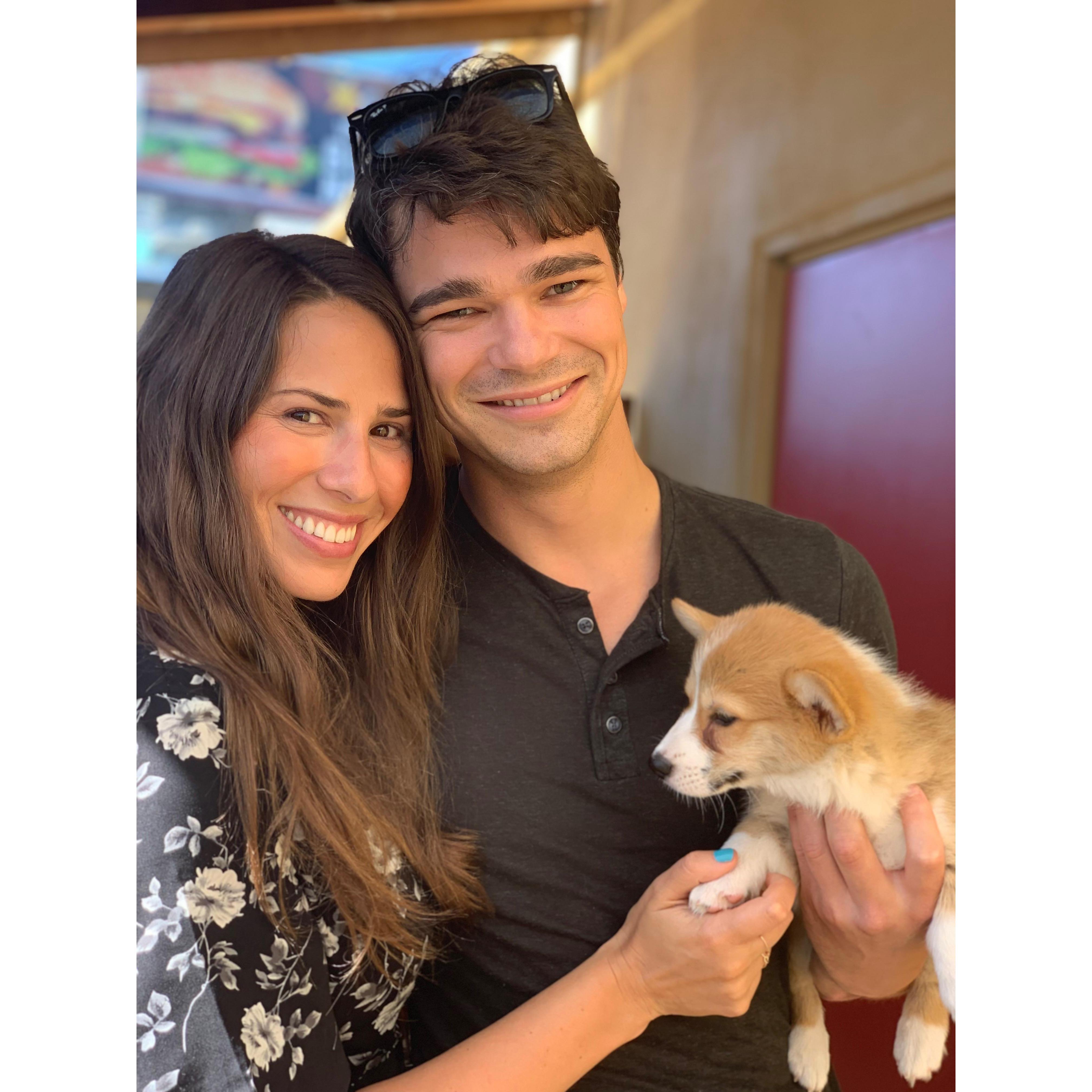 our first day with our sweet girl, fannie!