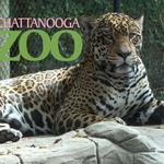 Chattanooga Zoo