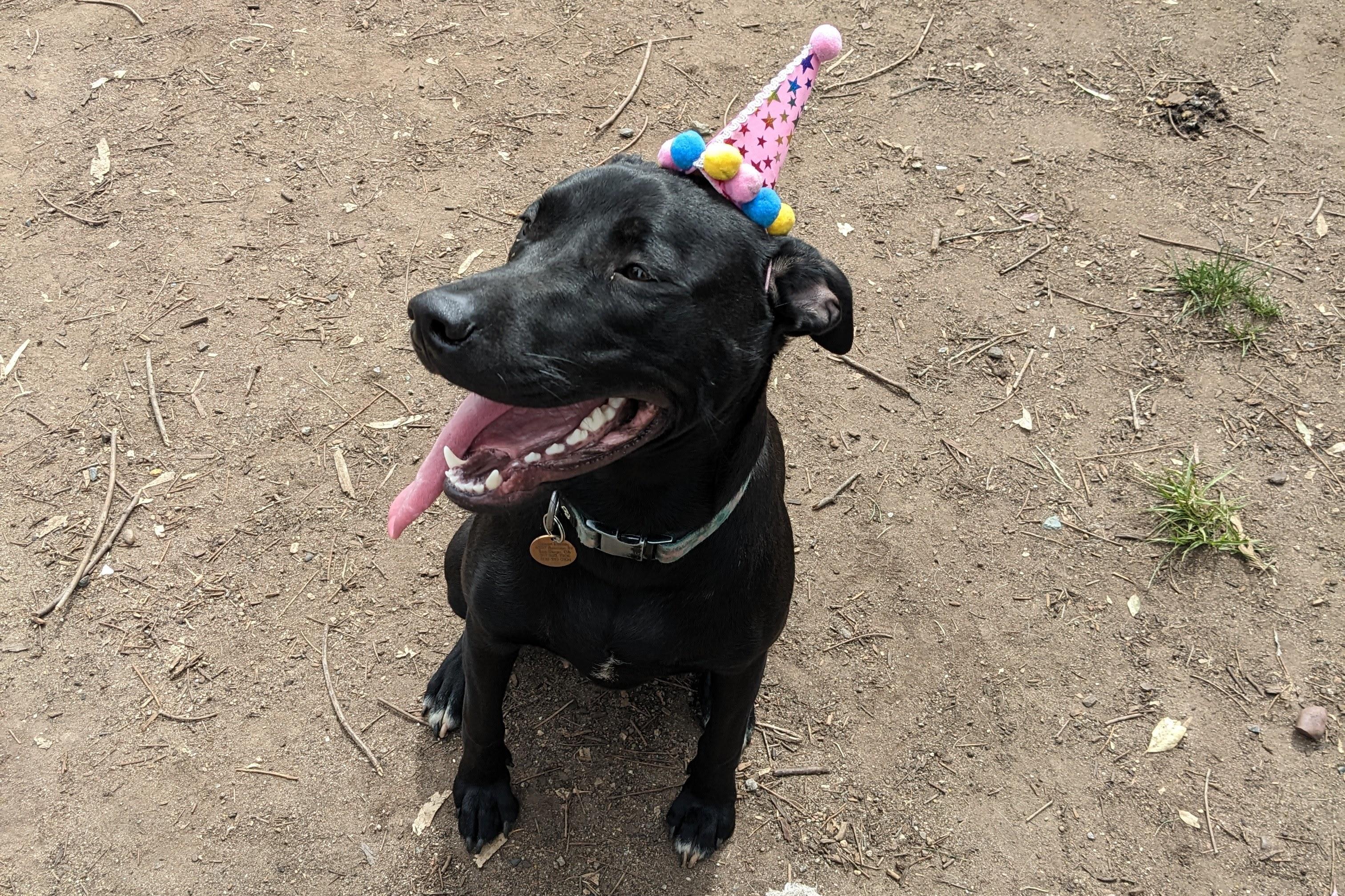 2f06a784-9820-48b2-8601-fa2156f41b33