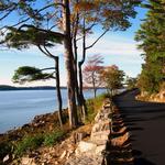 Sargeant Drive & Manchester Road (Scenic Drive)