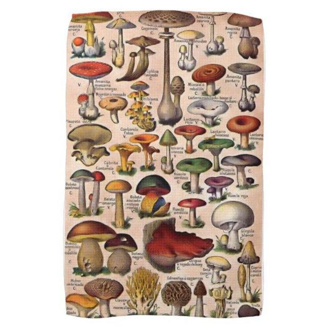Vintage Mushroom Guide Kitchen Towel