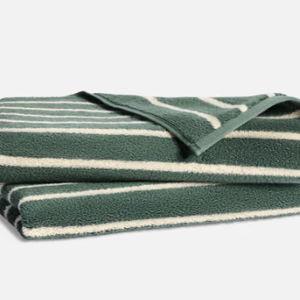 Super-Plush Turkish Cotton Hand Towels