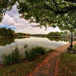 Delaware Park