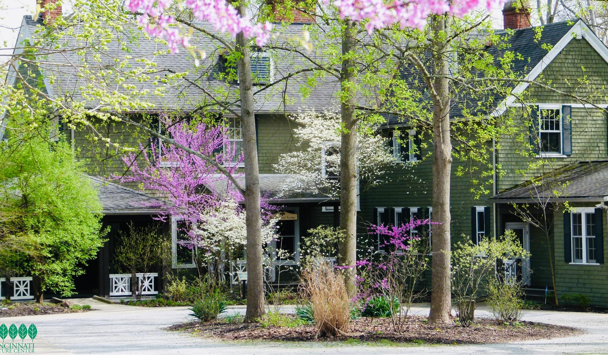 The Wedding Website of Karen Smith and Derek Thomas