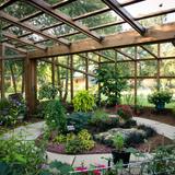 Botanical Garden of the Ozarks