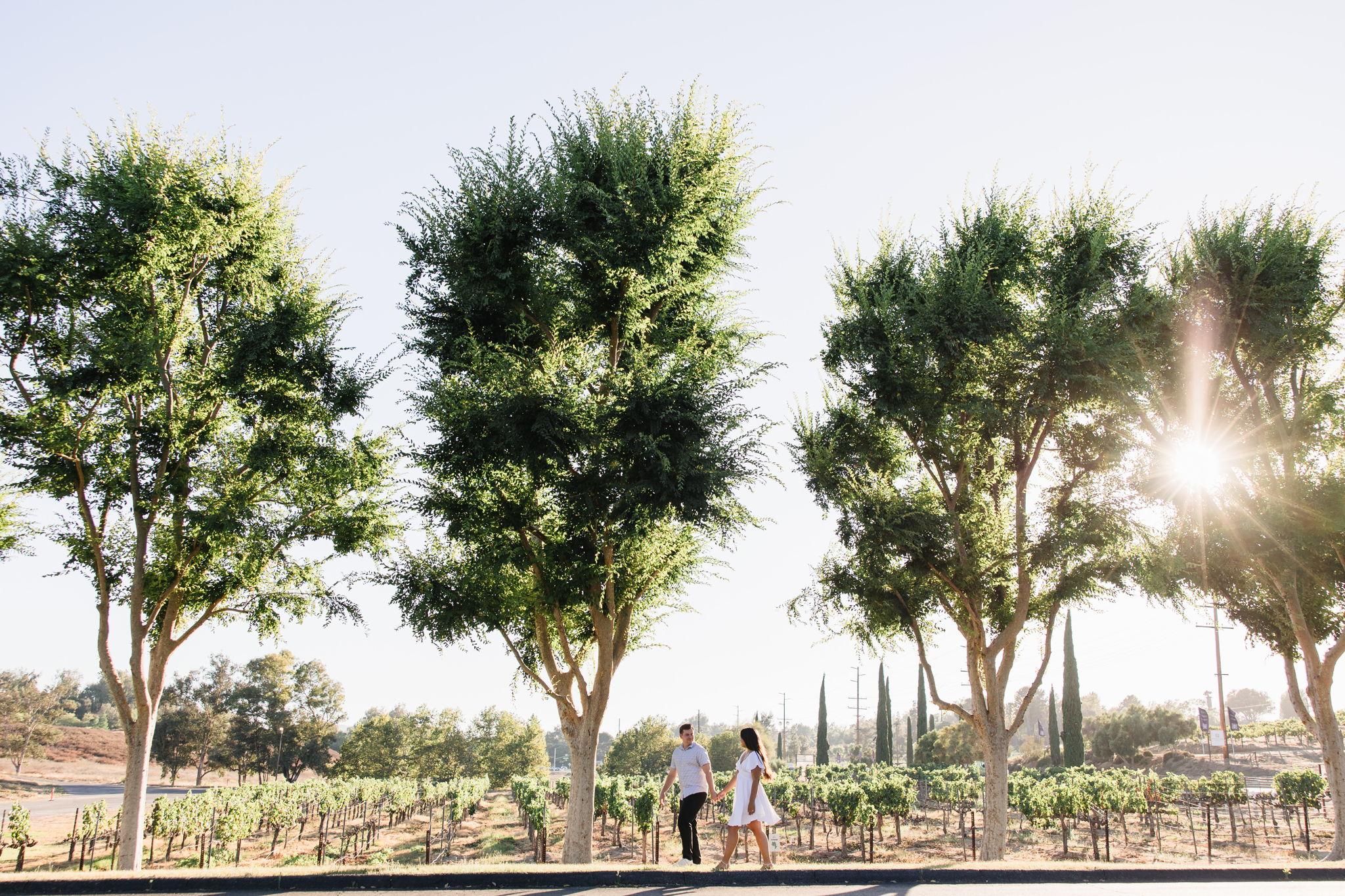 The Wedding Website of Ross Tisdell Jr. and Jessica Pablo