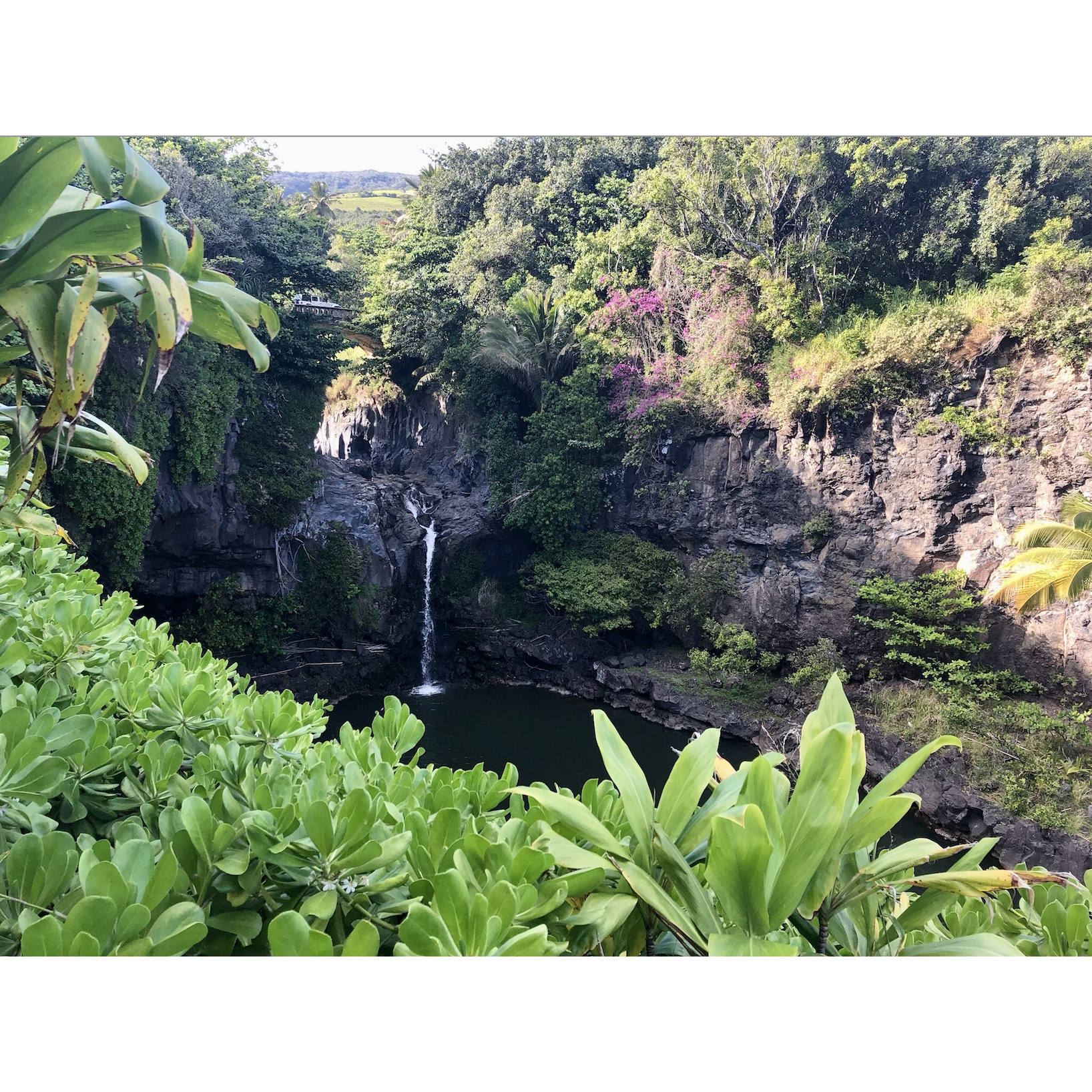 The Pools of 'Ohe'o in Maui - a short drive beyond the town of Hana.