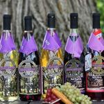 Oak Lane Winery