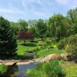 Sayen House and Gardens