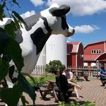 Jilbert Dairy Inc