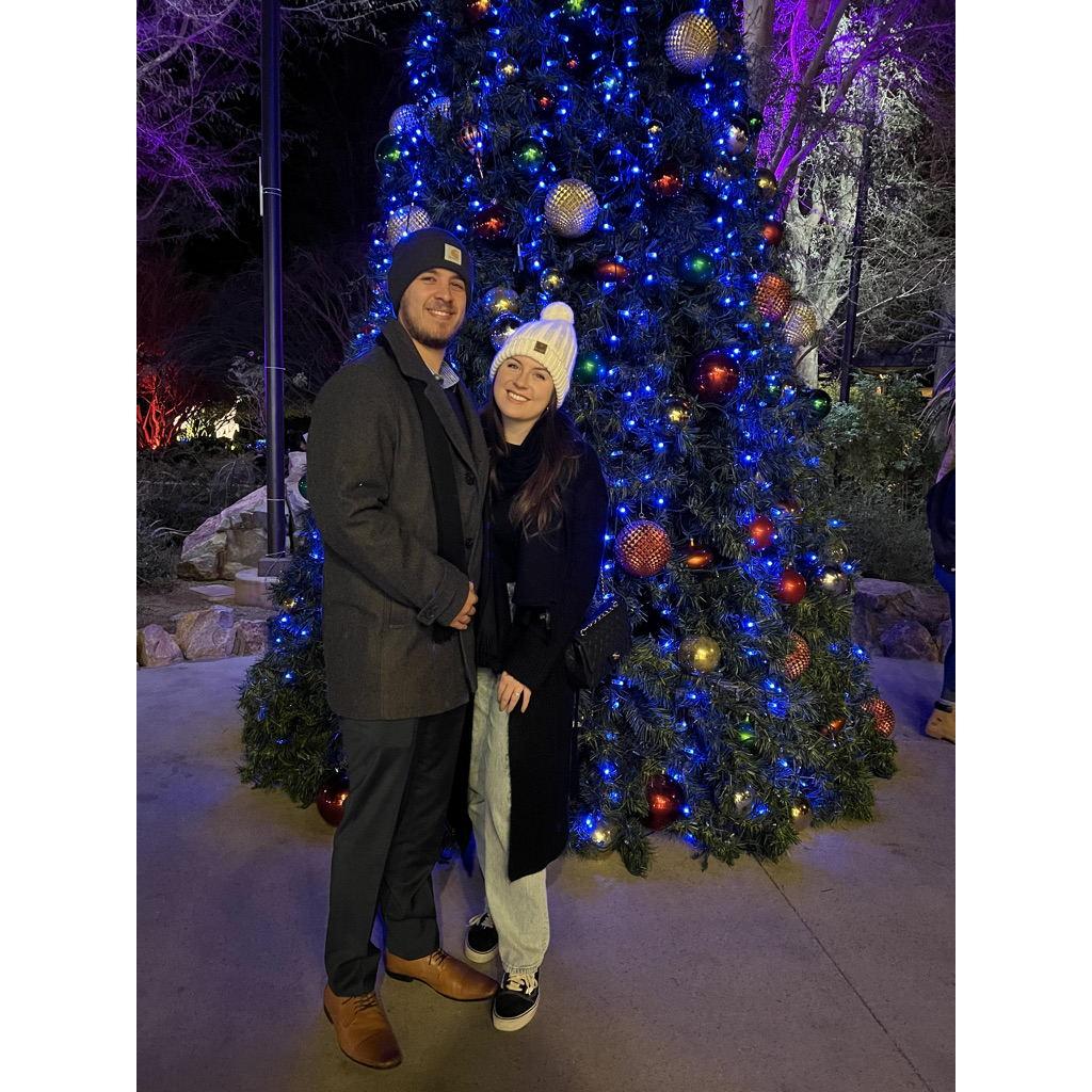 The Living Desert, Palm Desert, CA
December 28, 2021