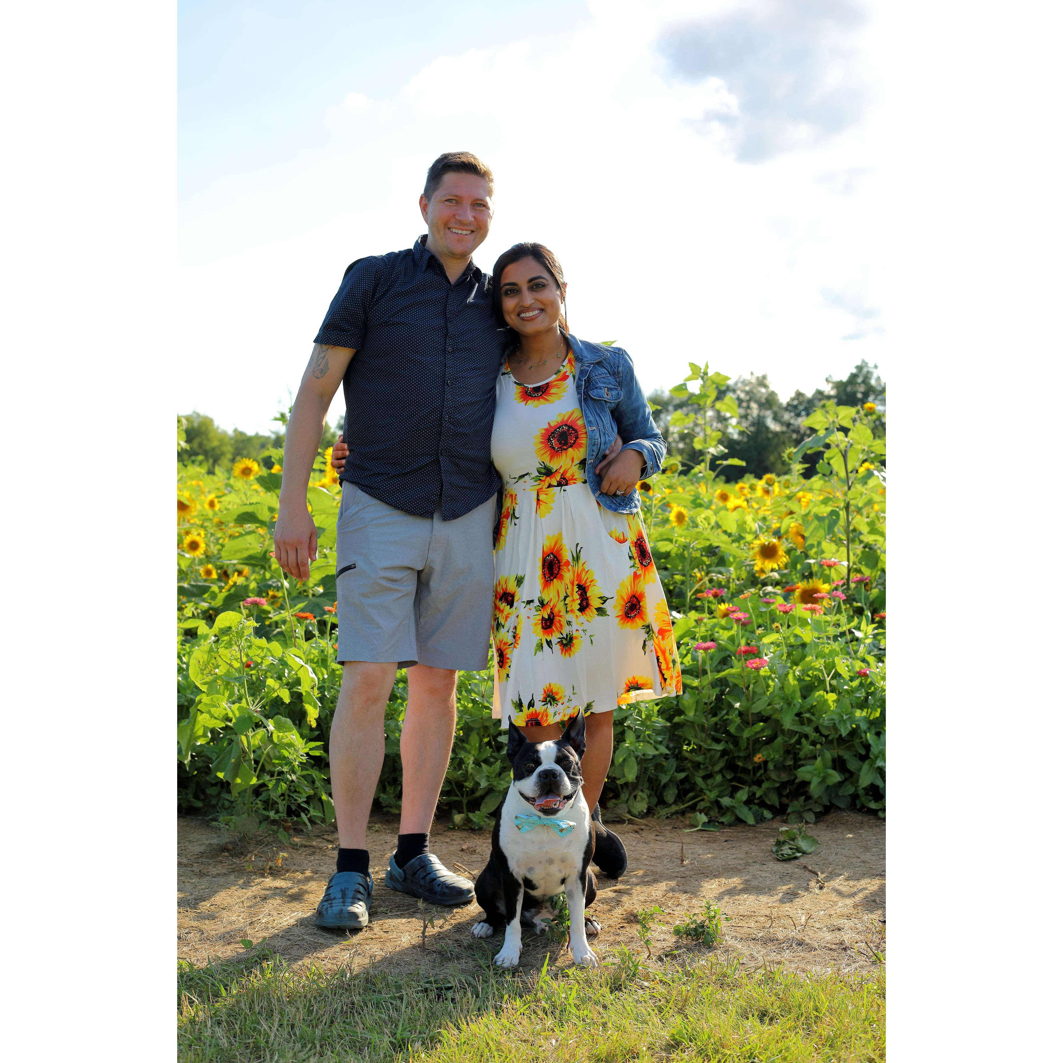 Family Outing at the Lannon Sunflower farm 