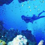 Scuba Diving