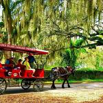 Sea Island Carriage Company