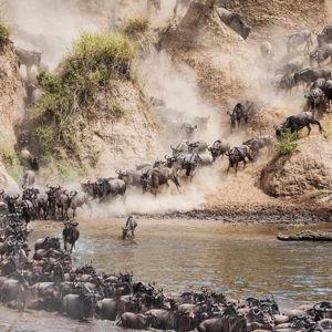 Witness the Great Migration in Kenya