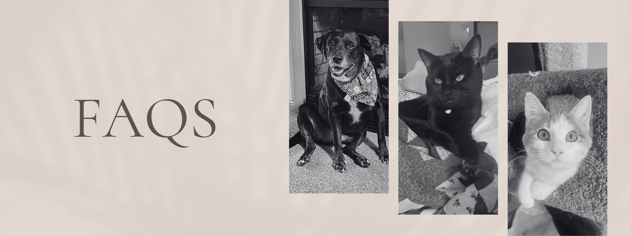 The Wedding Website of Darian Bidroski and Brian Hargens