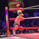 Arena México
