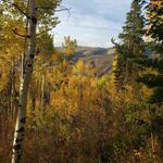 Easy Hike: Eagle Vail Trail