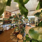 Shop: Ceremony Botanical Studio