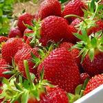 Pleasant Valley Orchard