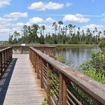 Lynn Haven Bayou Park & Preserve