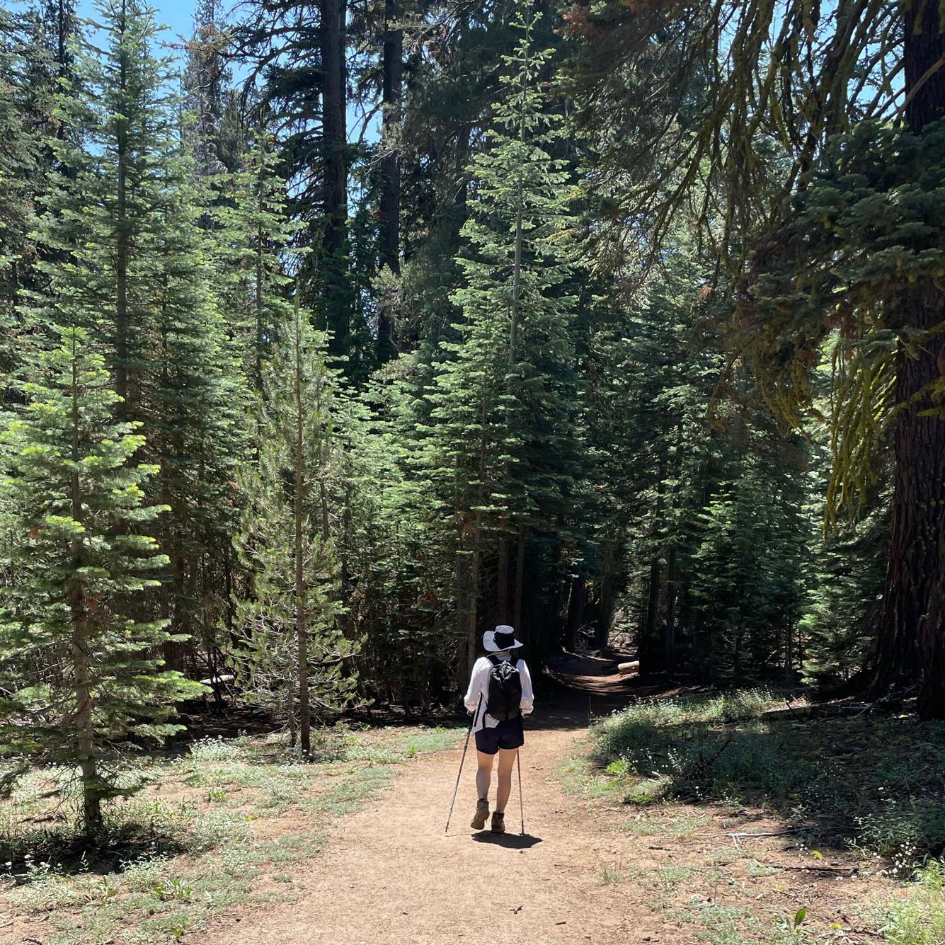 10/10 recommend visiting Yosemite at least once.