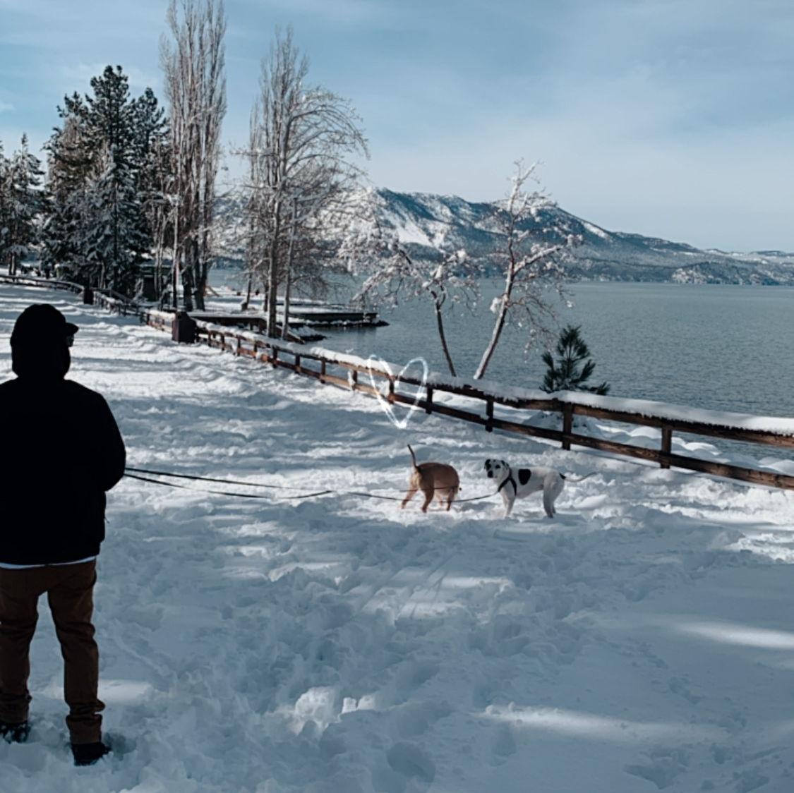 Our Dogs, Rocky & Adrian. This is right down the street from our house!