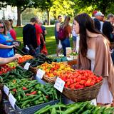Morning at the Farmers' Market