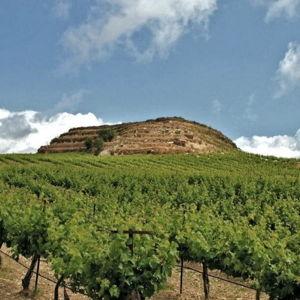Crete wine and olive oil tour
