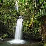 El Yunque