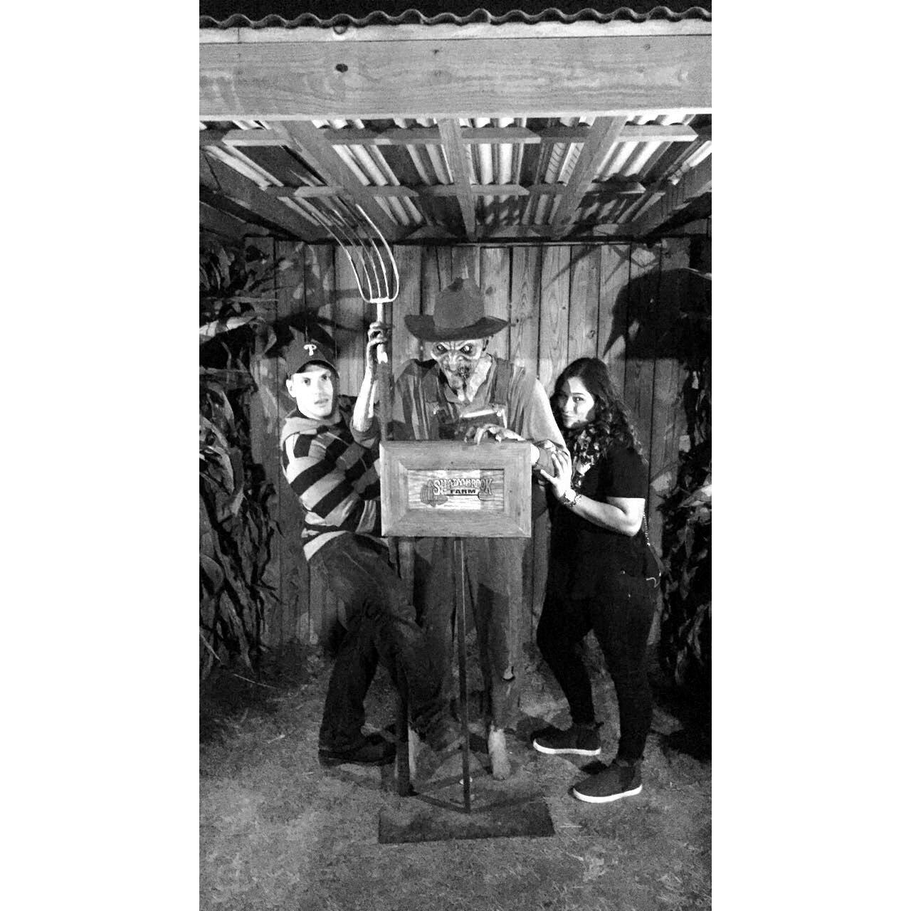 Halloween at Shadybrook Farm