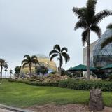 The Dalí Museum