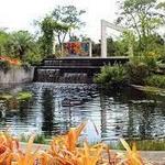 Naples Botanical Gardens