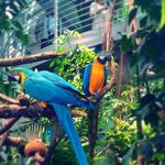 Academy of Sciences