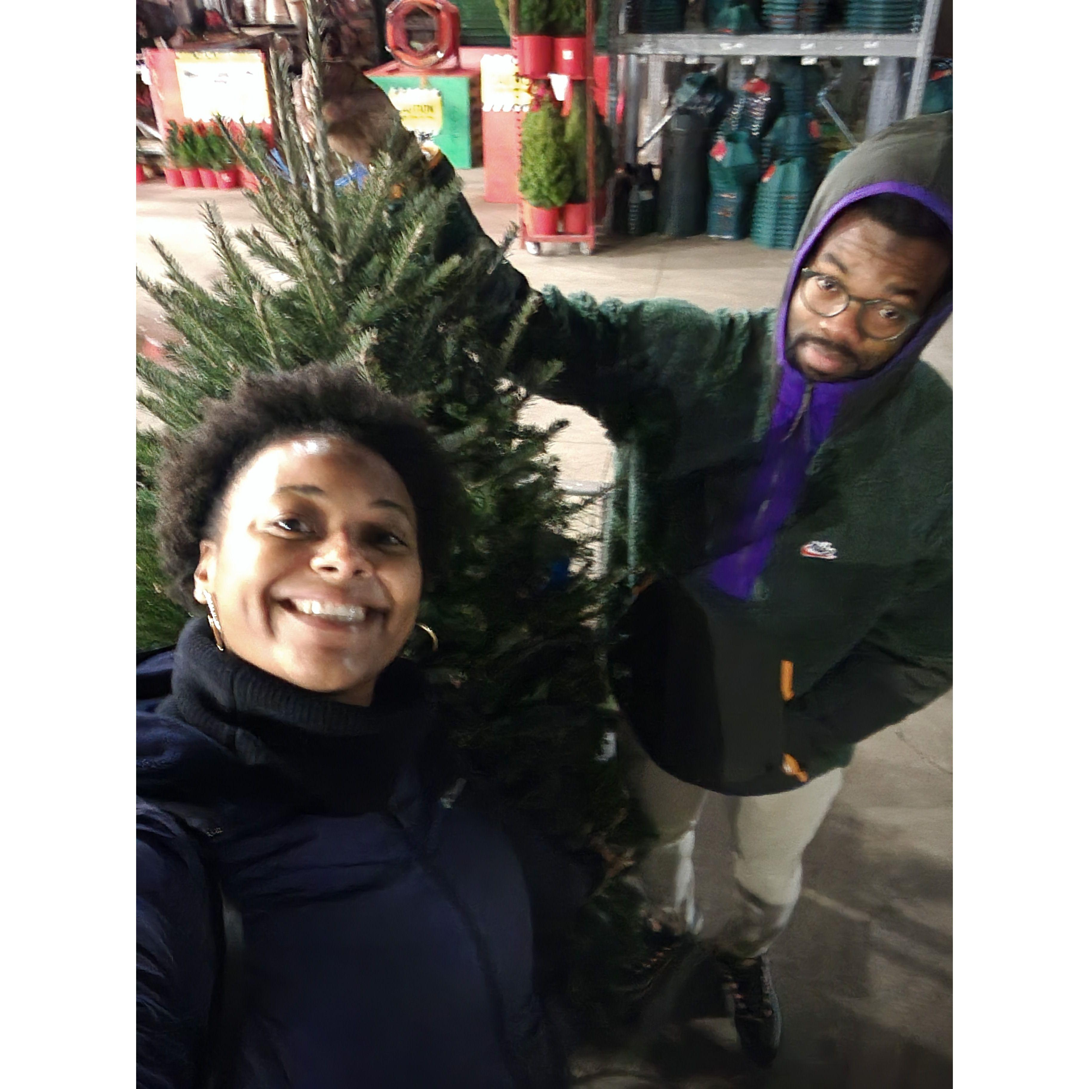 Our first Christmas tree!