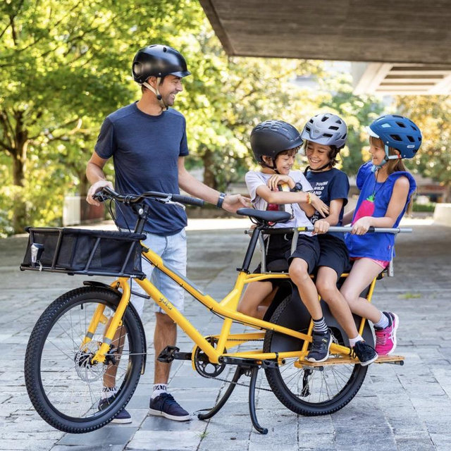 Family Electric Bikes
