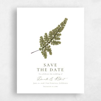 White Fall Wedding Save the Date - Dane Portrait