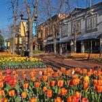 Pearl Street Mall