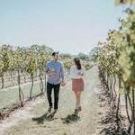 Fredricksburg Wineries