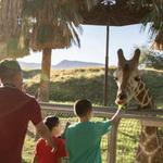 The Living Desert Zoo and Gardens