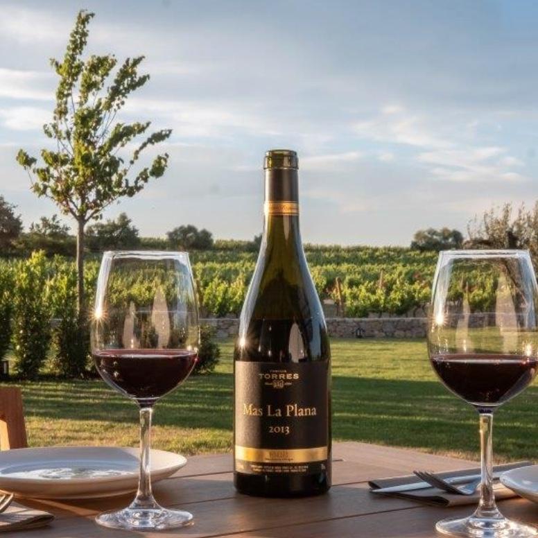 Honeymoon Wine Tasting